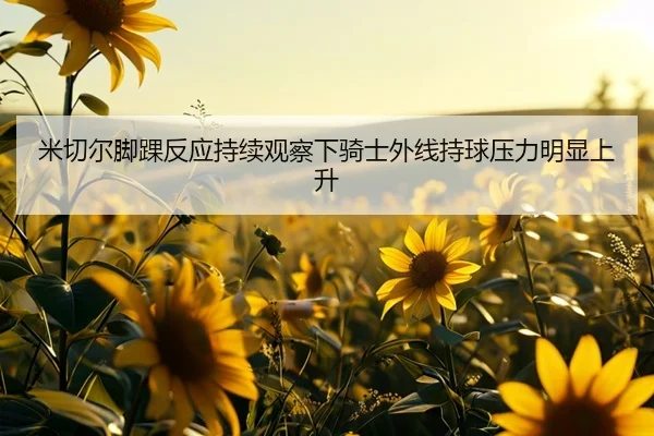 米切尔脚踝反应持续观察下骑士外线持球压力明显上升